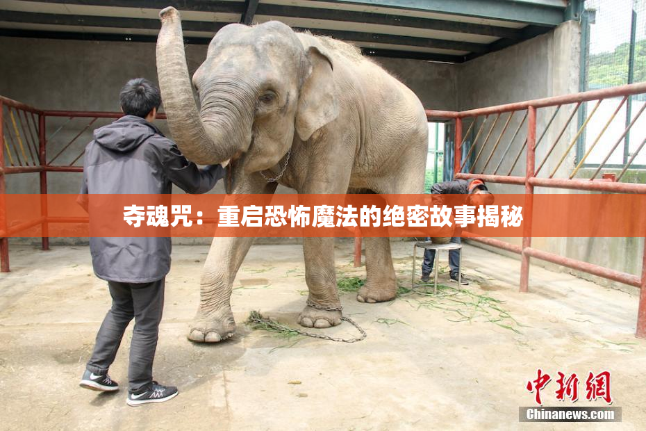 夺魂咒：重启恐怖魔法的绝密故事揭秘
