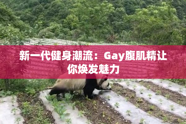 新一代健身潮流：Gay腹肌精让你焕发魅力