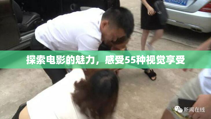 探索电影的魅力，感受55种视觉享受