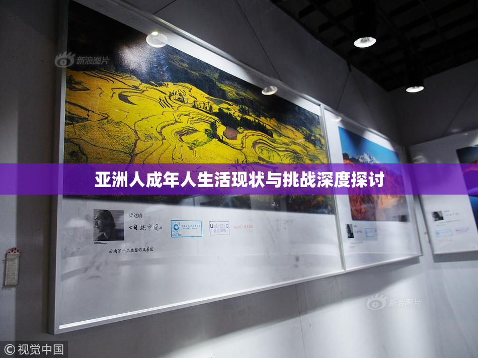 亚洲人成年人生活现状与挑战深度探讨