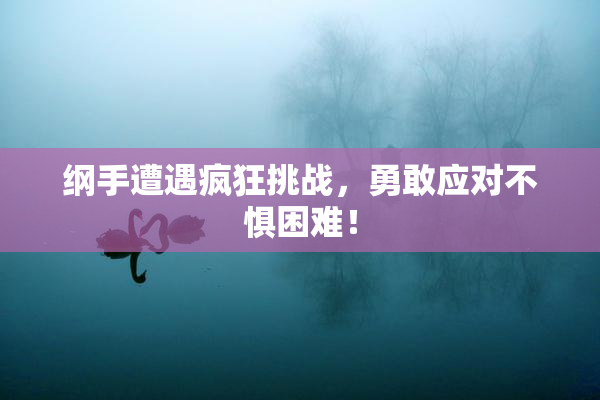 纲手遭遇疯狂挑战，勇敢应对不惧困难！