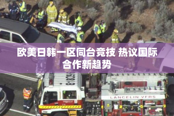 欧美日韩一区同台竞技 热议国际合作新趋势
