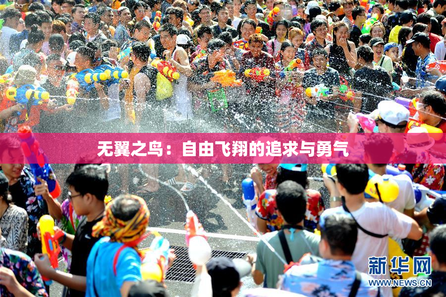 无翼之鸟：自由飞翔的追求与勇气