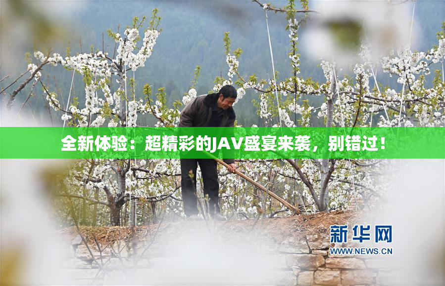全新体验：超精彩的JAV盛宴来袭，别错过！