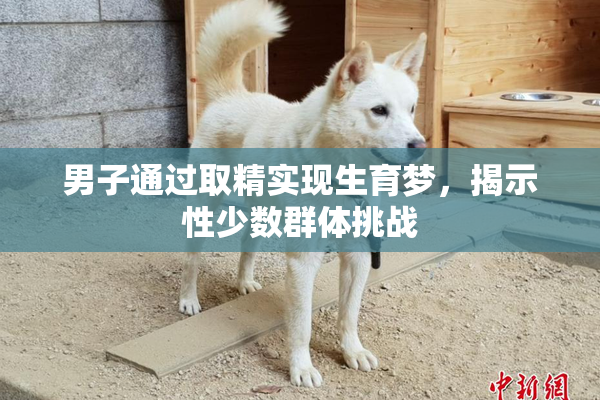 男子通过取精实现生育梦，揭示性少数群体挑战