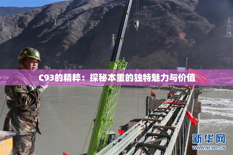 C93的精粹：探秘本重的独特魅力与价值