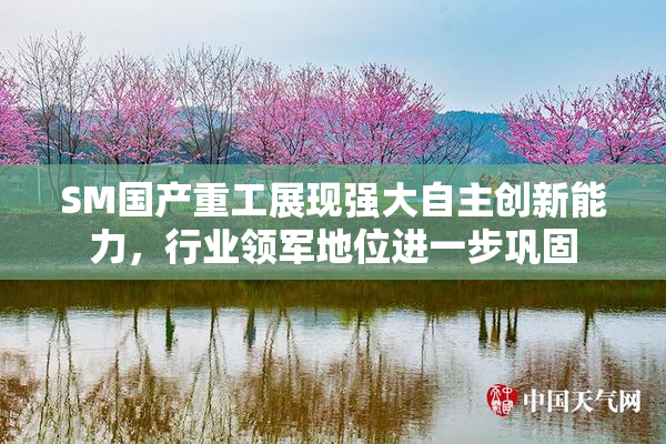 SM国产重工展现强大自主创新能力，行业领军地位进一步巩固