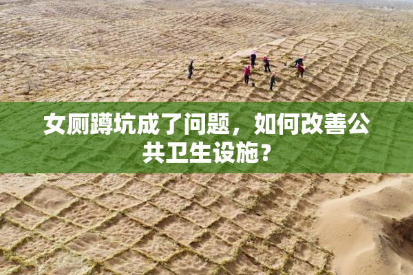 女厕蹲坑成了问题，如何改善公共卫生设施？