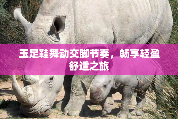 玉足鞋舞动交脚节奏，畅享轻盈舒适之旅
