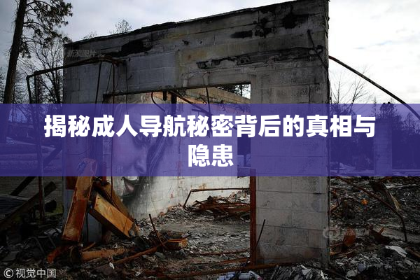 揭秘成人导航秘密背后的真相与隐患