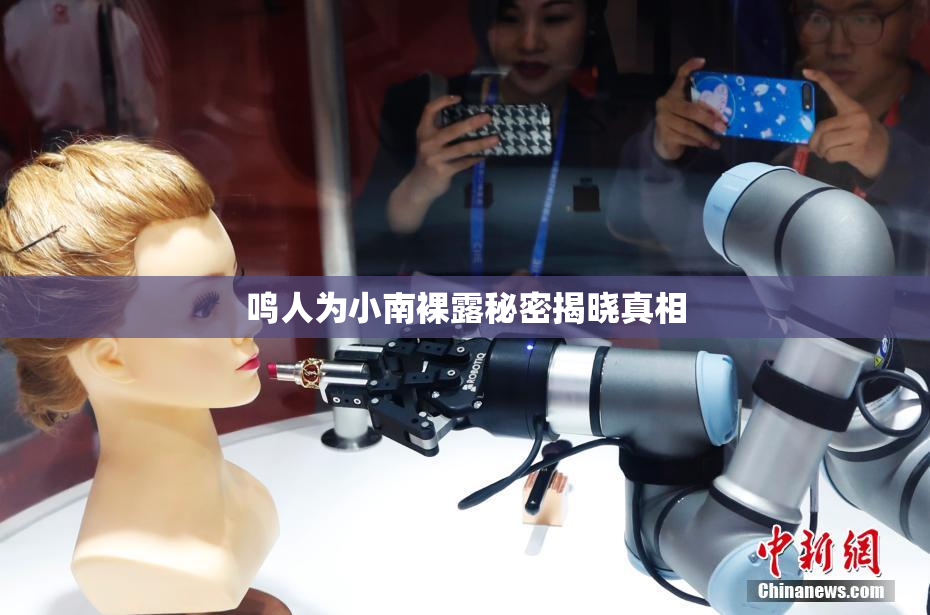 鸣人为小南裸露秘密揭晓真相