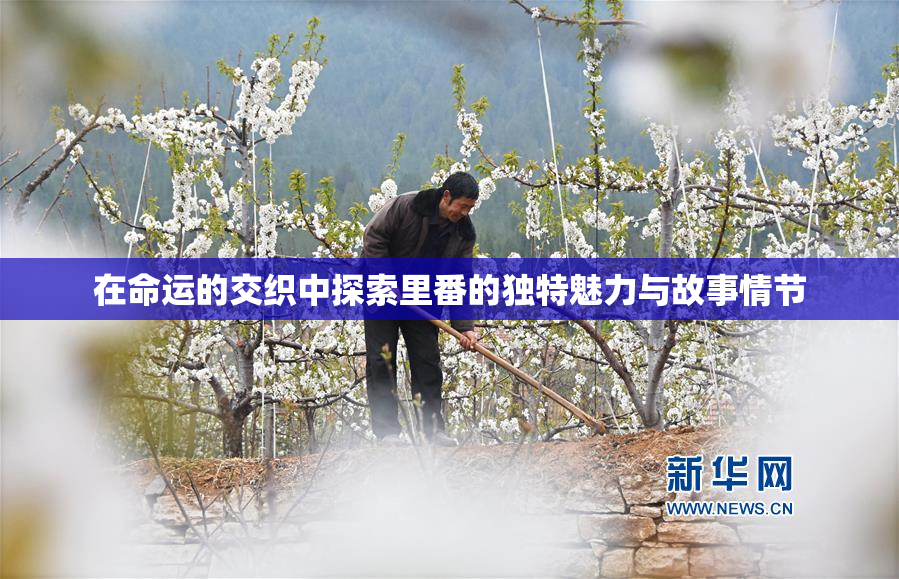 在命运的交织中探索里番的独特魅力与故事情节