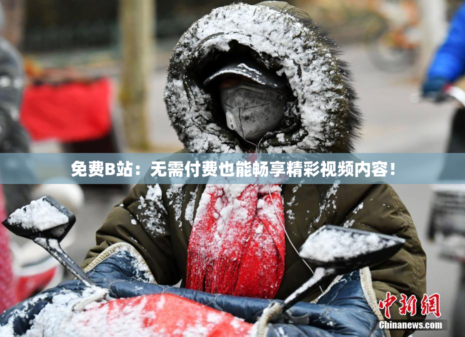 免费B站：无需付费也能畅享精彩视频内容！