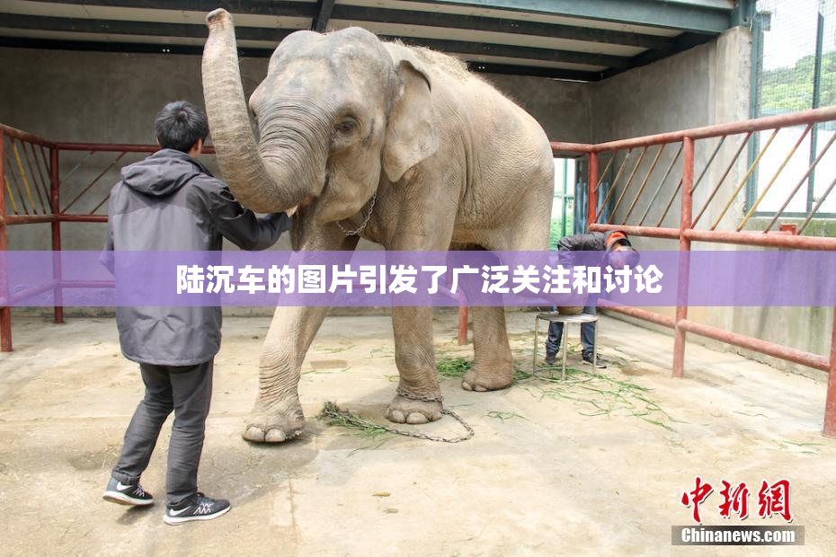 陆沉车的图片引发了广泛关注和讨论