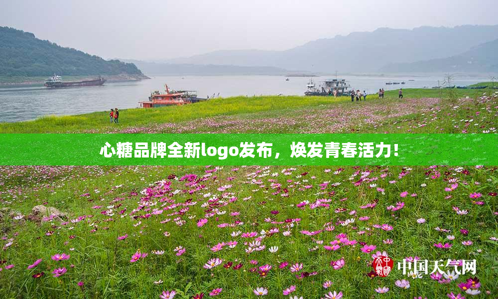 心糖品牌全新logo发布，焕发青春活力！