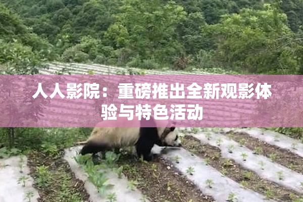 人人影院：重磅推出全新观影体验与特色活动