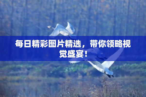 每日精彩图片精选，带你领略视觉盛宴！