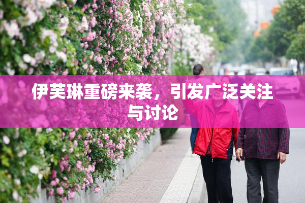 伊芙琳重磅来袭，引发广泛关注与讨论