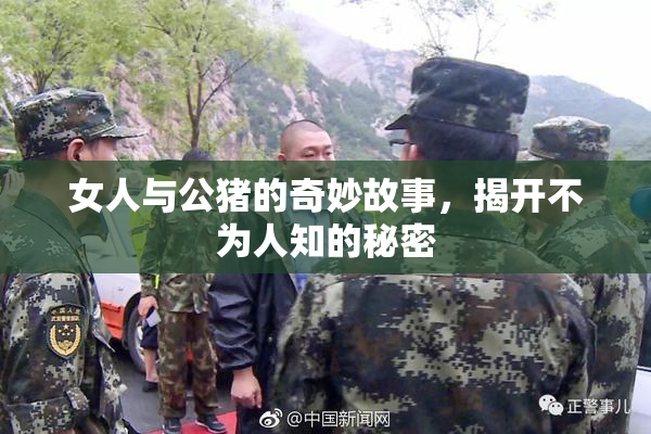 女人与公猪的奇妙故事，揭开不为人知的秘密