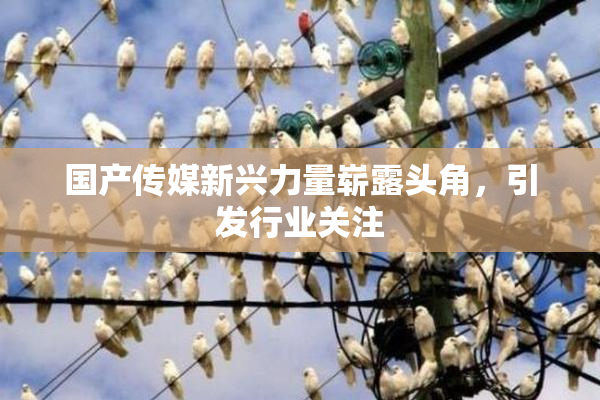 国产传媒新兴力量崭露头角，引发行业关注