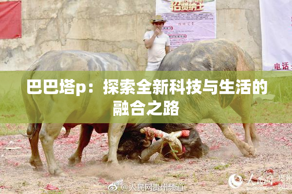 巴巴塔p：探索全新科技与生活的融合之路