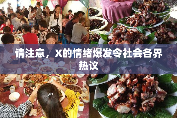 请注意，X的情绪爆发令社会各界热议