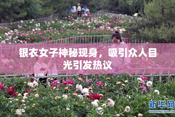 银衣女子神秘现身，吸引众人目光引发热议
