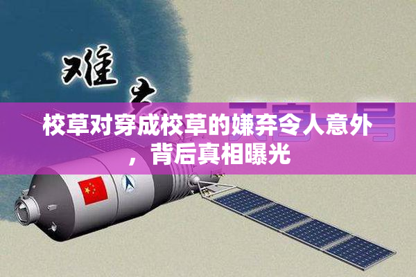 校草对穿成校草的嫌弃令人意外，背后真相曝光