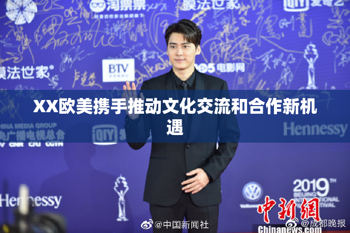 XX欧美携手推动文化交流和合作新机遇