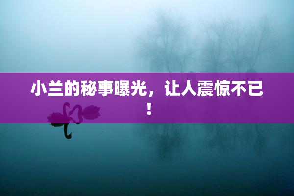 小兰的秘事曝光，让人震惊不已！
