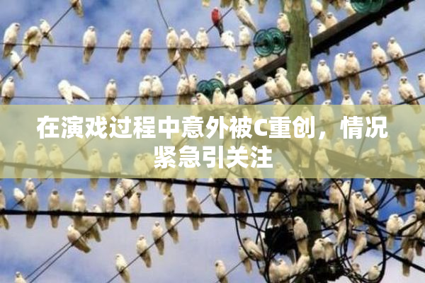 在演戏过程中意外被C重创，情况紧急引关注