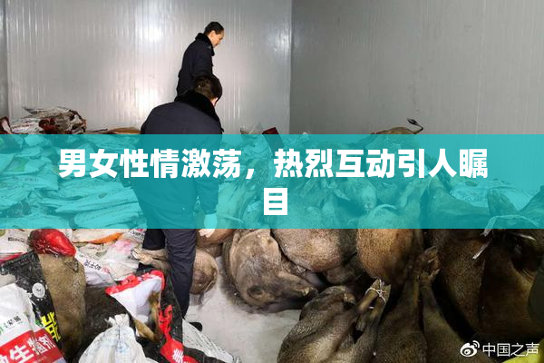 男女性情激荡，热烈互动引人瞩目