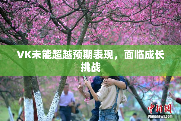 VK未能超越预期表现，面临成长挑战