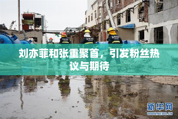 刘亦菲和张重聚首，引发粉丝热议与期待