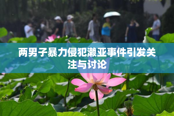 两男子暴力侵犯濑亚事件引发关注与讨论