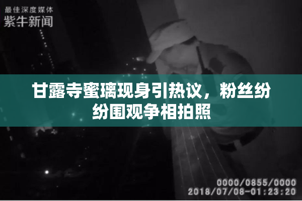 甘露寺蜜璃现身引热议，粉丝纷纷围观争相拍照