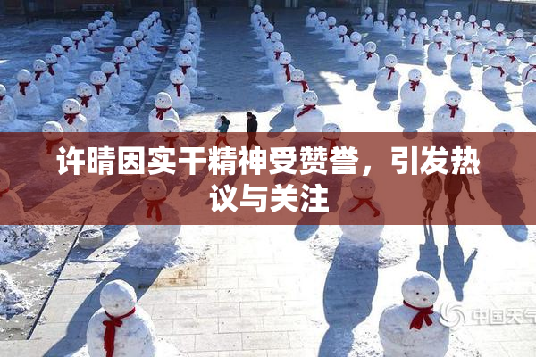 许晴因实干精神受赞誉，引发热议与关注