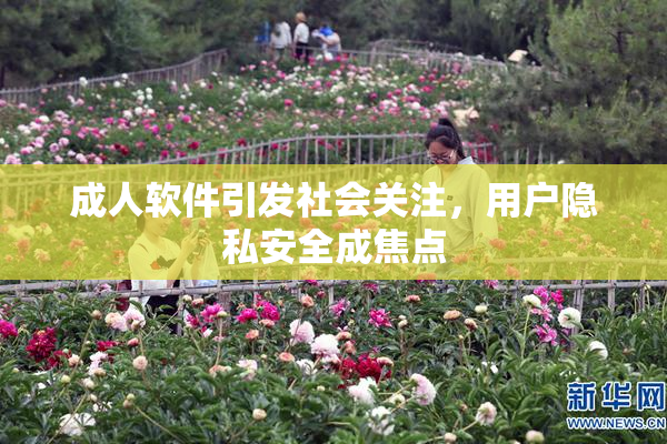 成人软件引发社会关注，用户隐私安全成焦点