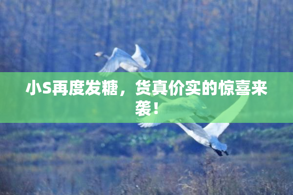 小S再度发糖，货真价实的惊喜来袭！