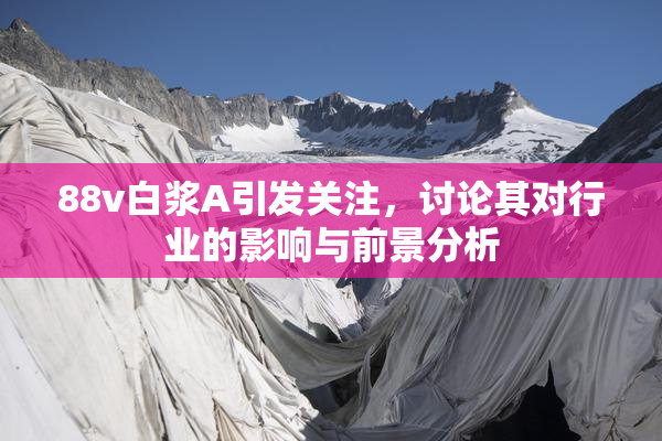 88v白浆A引发关注，讨论其对行业的影响与前景分析