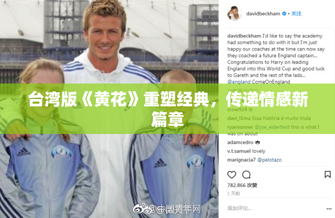 台湾版《黄花》重塑经典，传递情感新篇章