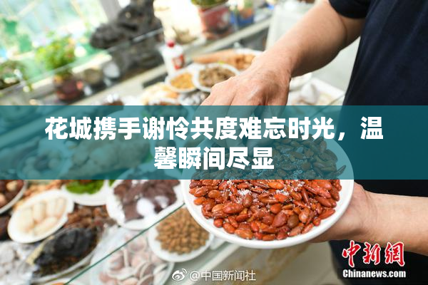 花城携手谢怜共度难忘时光，温馨瞬间尽显