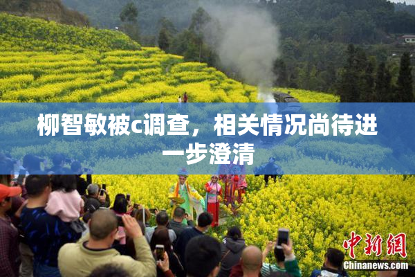 柳智敏被c调查，相关情况尚待进一步澄清
