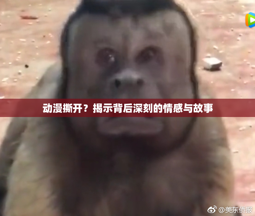 动漫撕开？揭示背后深刻的情感与故事