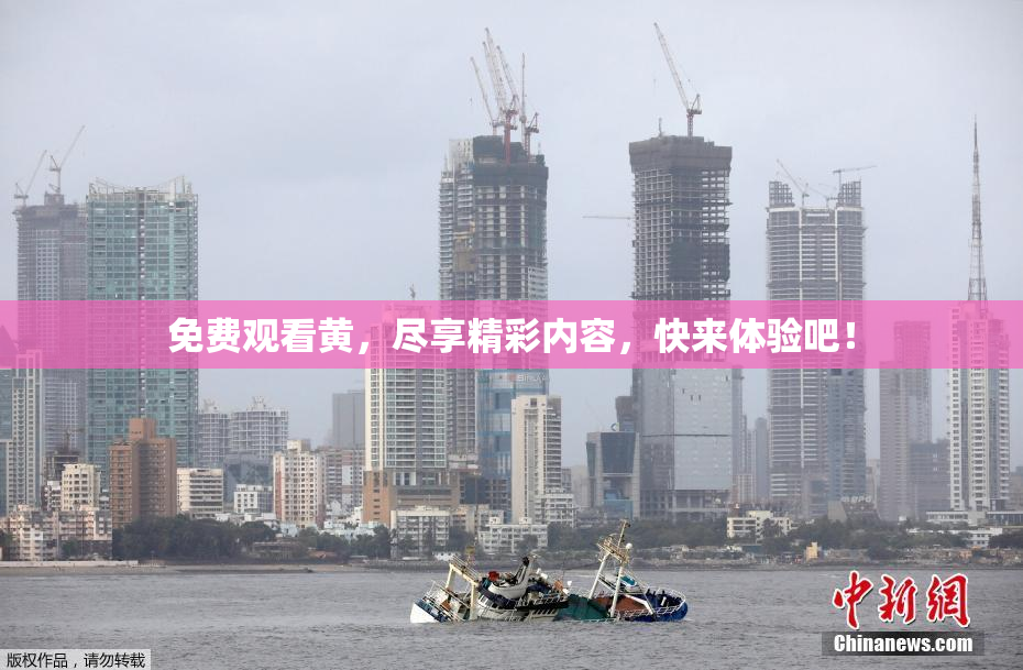 免费观看黄，尽享精彩内容，快来体验吧！