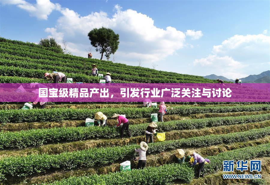 国宝级精品产出，引发行业广泛关注与讨论
