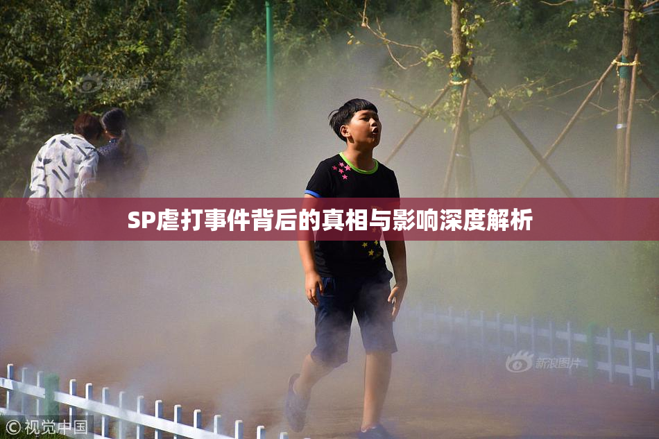 SP虐打事件背后的真相与影响深度解析