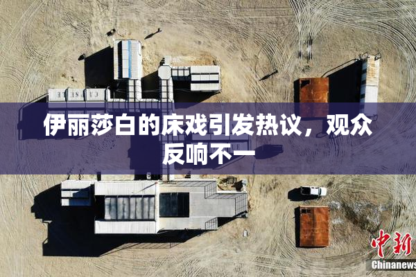 伊丽莎白的床戏引发热议，观众反响不一