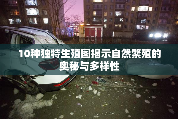 10种独特生殖图揭示自然繁殖的奥秘与多样性