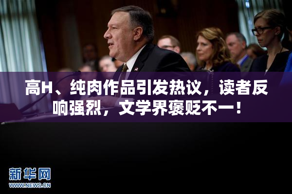 高H、纯肉作品引发热议，读者反响强烈，文学界褒贬不一！